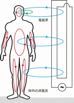 強磁場 人体 影響